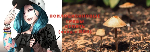 индика Иннополис