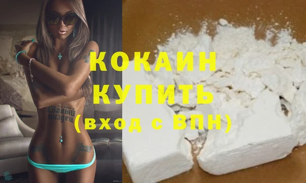 индика Иннополис