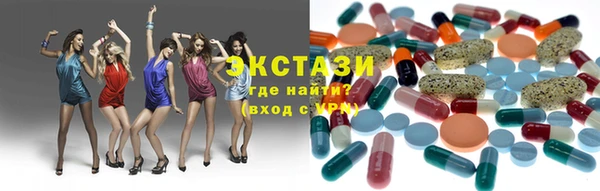 индика Иннополис