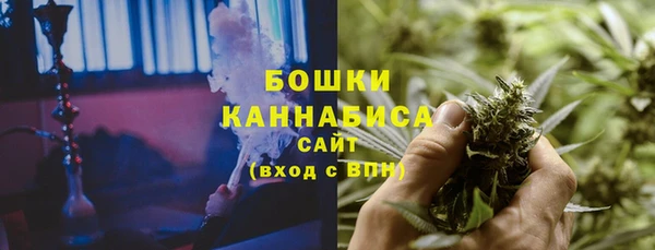 индика Иннополис