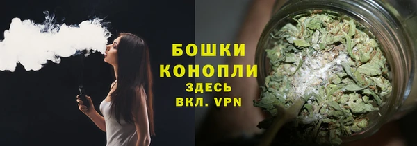 индика Иннополис