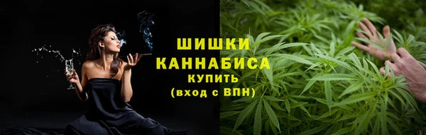 индика Иннополис