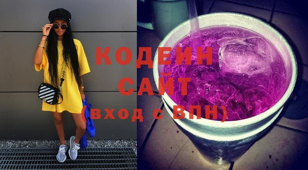 индика Иннополис