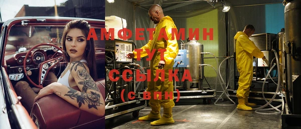 индика Иннополис