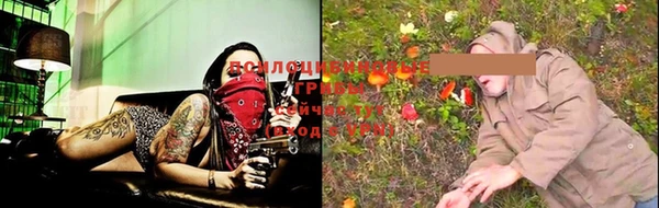 индика Иннополис