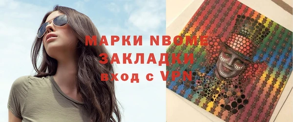 индика Иннополис