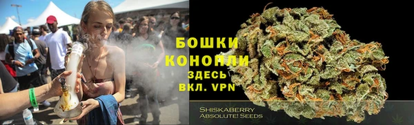 индика Иннополис
